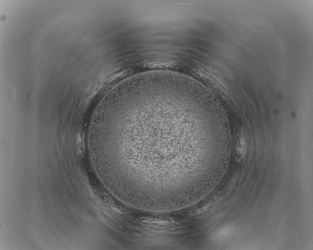 X0000088030743200705182025