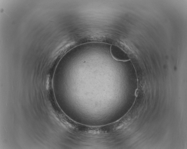 X0000088030744200705182025