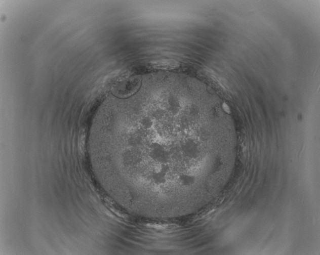 X0000088030745200705182025