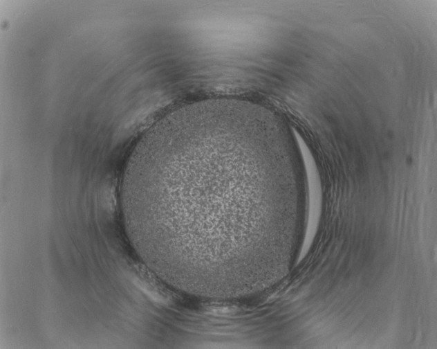 X0000088030746200705182025