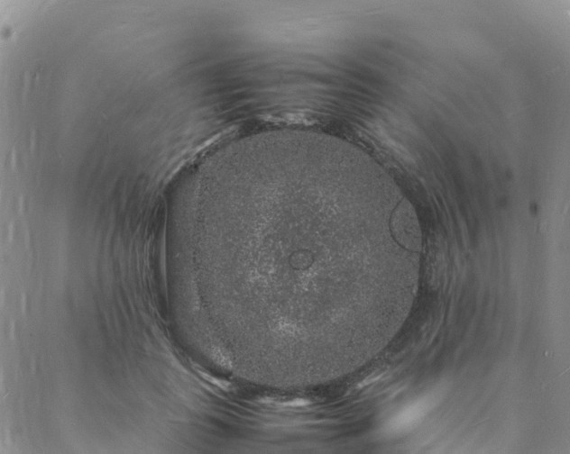 X0000088030747200705182025