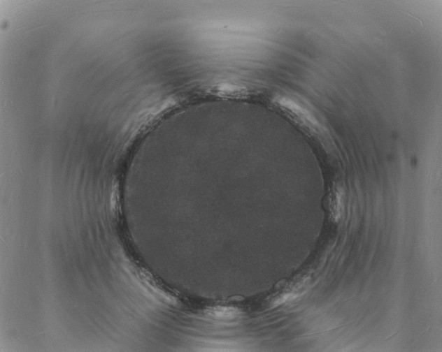 X0000088030748200705182025