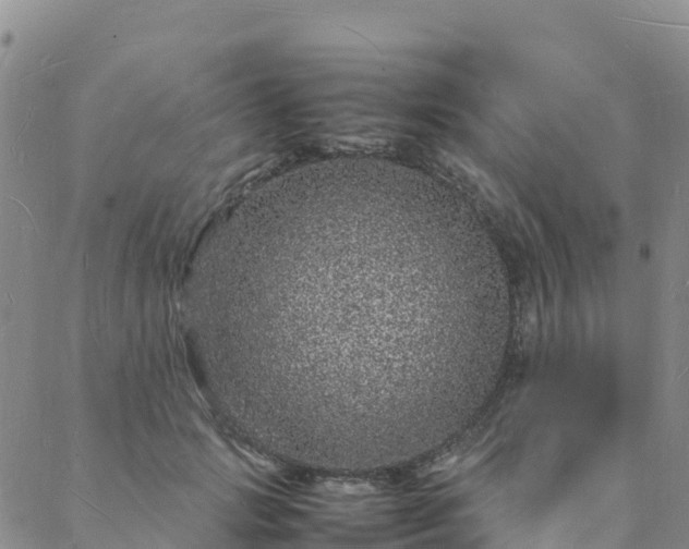 X0000088030749200705182025