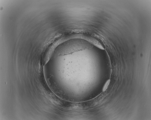 X0000088030750200705182025