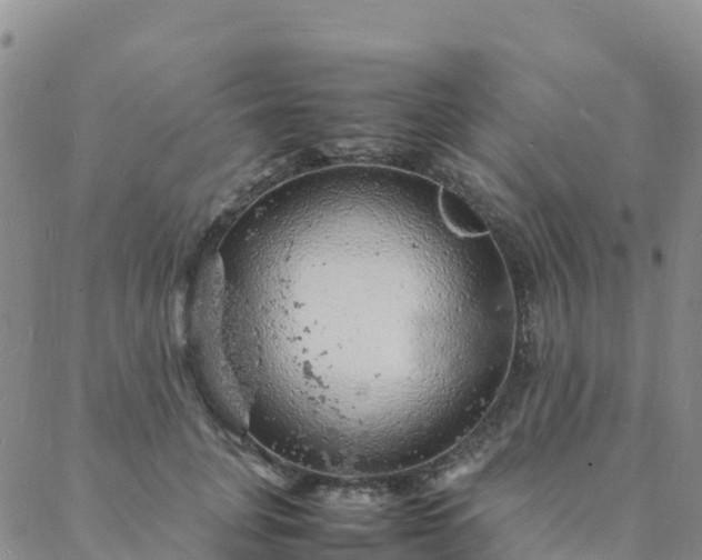 X0000088030751200705182025