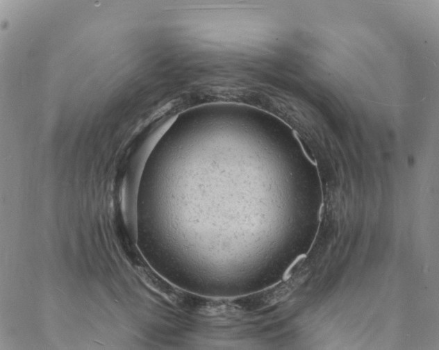 X0000088030752200705182025