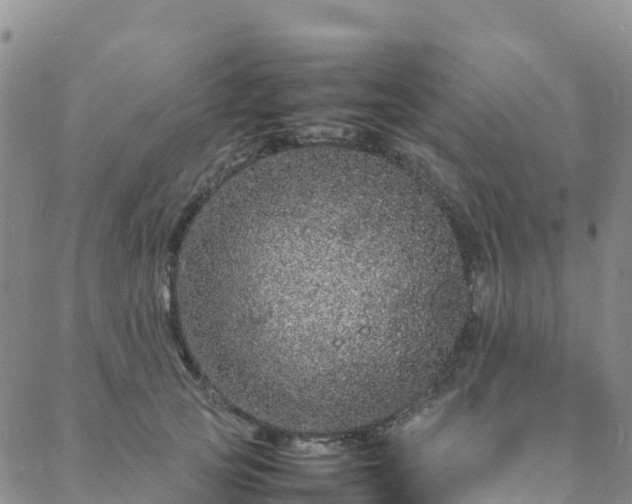 X0000088030753200705182025