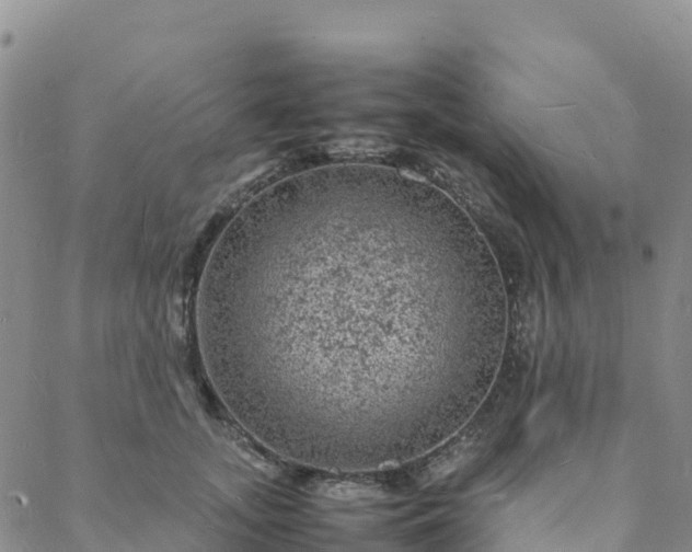 X0000088030755200705182025