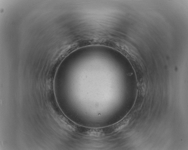 X0000088030756200705182025