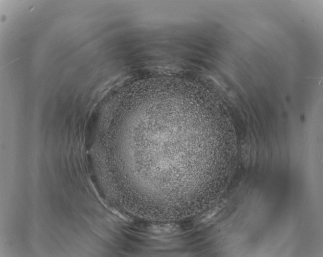 X0000088030757200705182025