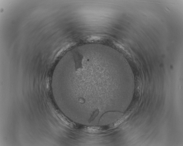 X0000088030758200705182025