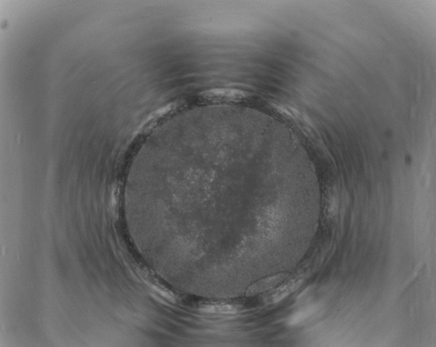 X0000088030759200705182025