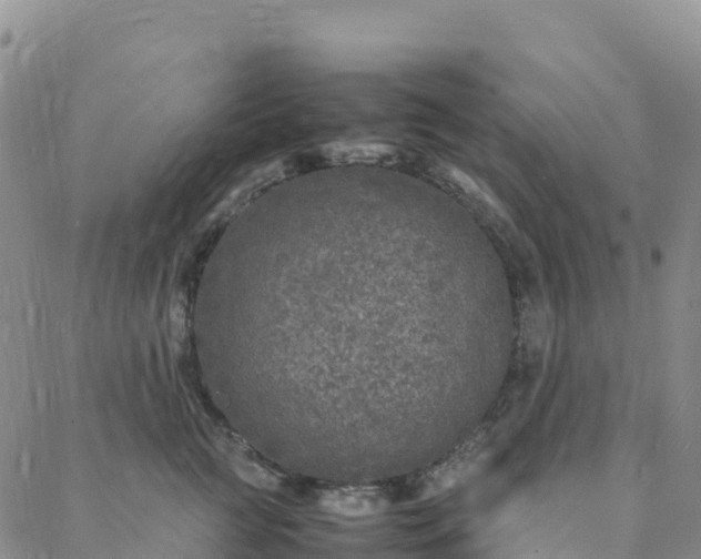 X0000088030761200705182025