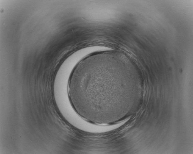 X0000088030762200705182025