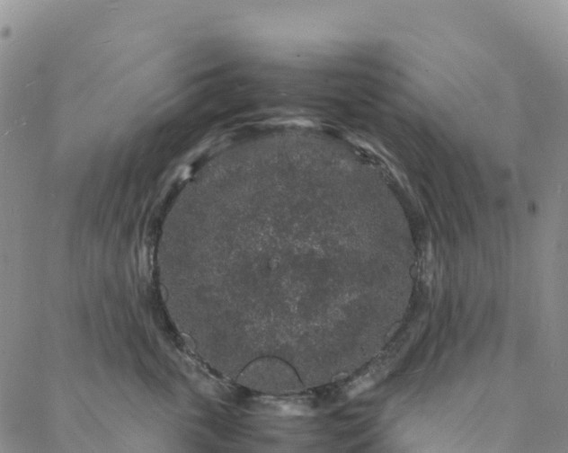 X0000088030763200705182025