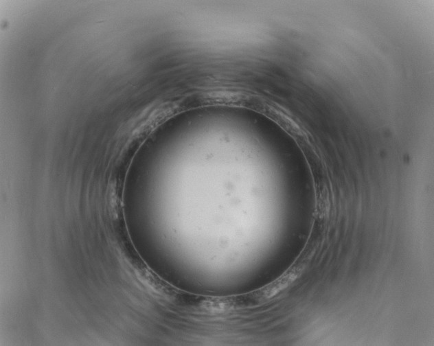 X0000088030764200705182025