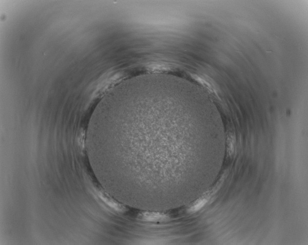 X0000088030766200705182025