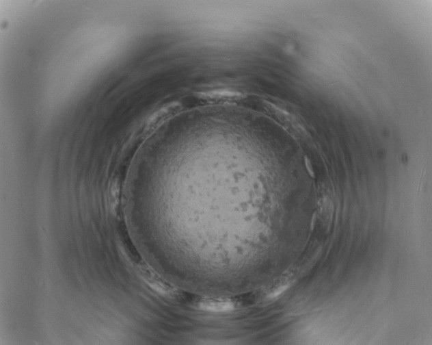 X0000088030767200705182025