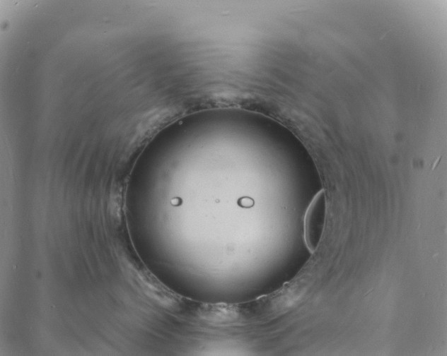 X0000088030768200705182025