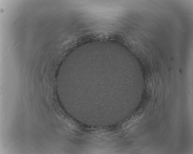 X0000088030769200705182024