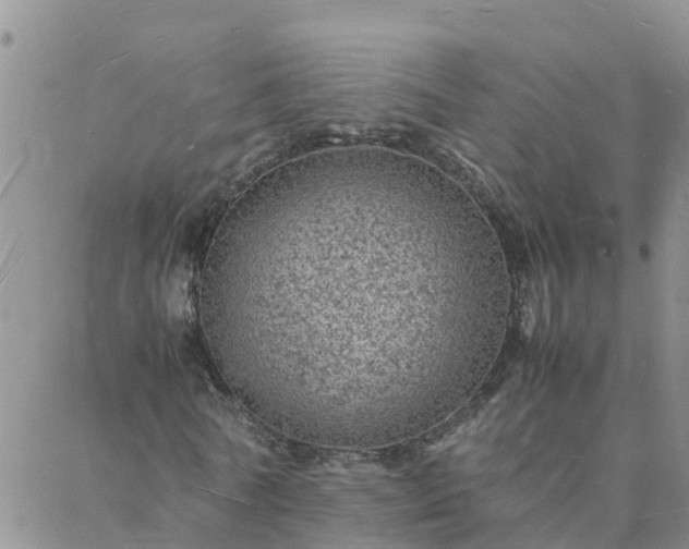 X0000088030770200705182024