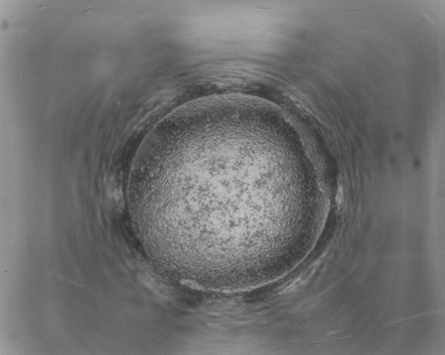 X0000088030771200705182024