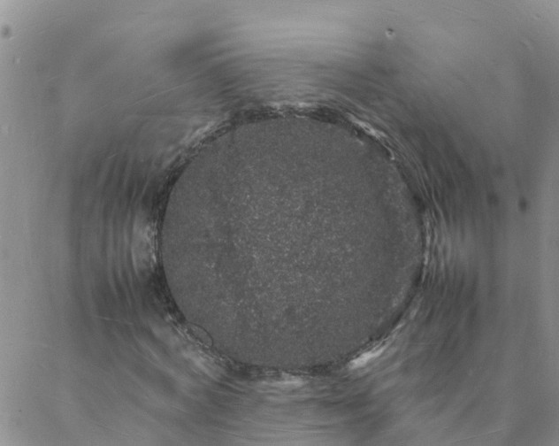 X0000088030772200705182024