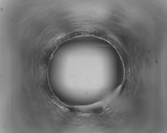 X0000088030773200705182024