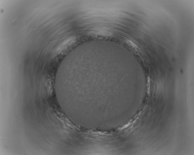 X0000088030774200705182024