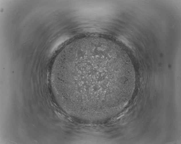 X0000088030775200705182024