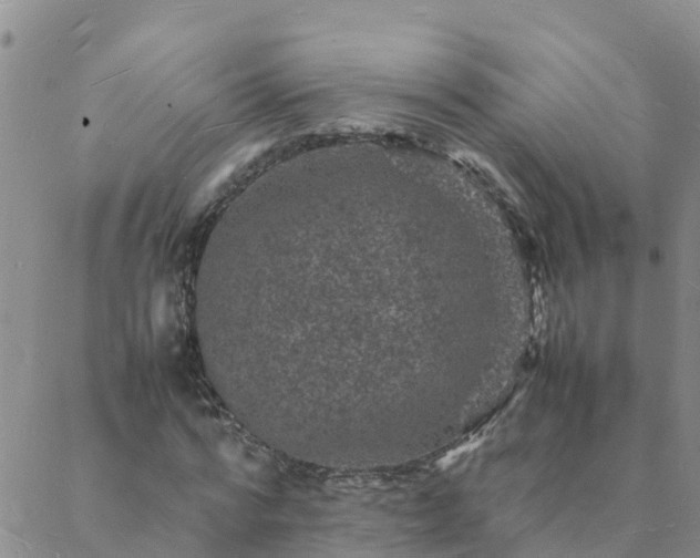 X0000088030776200705182024