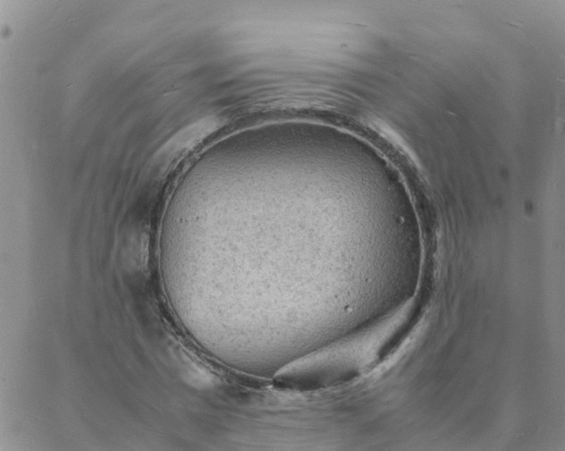 X0000088030777200705182024