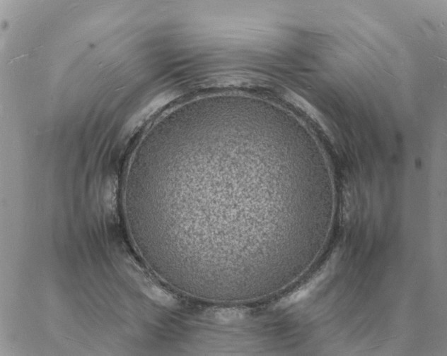 X0000088030778200705182024