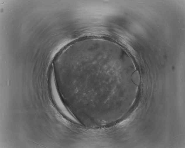 X0000088030779200705182024