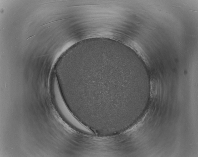 X0000088030780200705182024