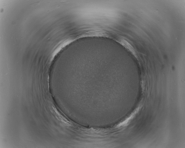 X0000088030781200705182024