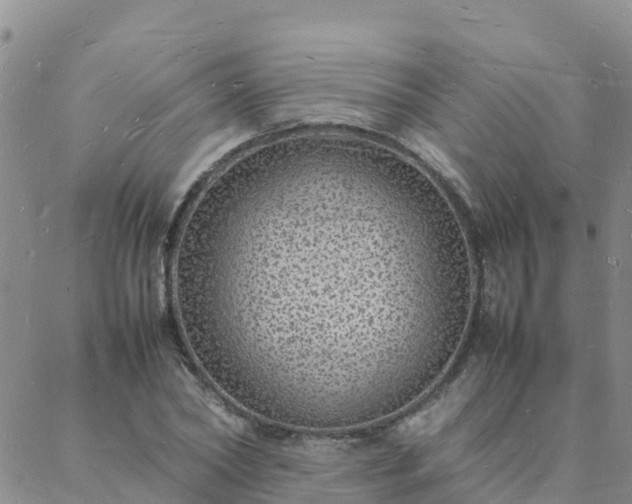 X0000088030782200705182024