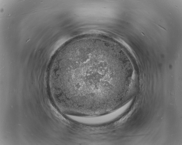 X0000088030783200705182024