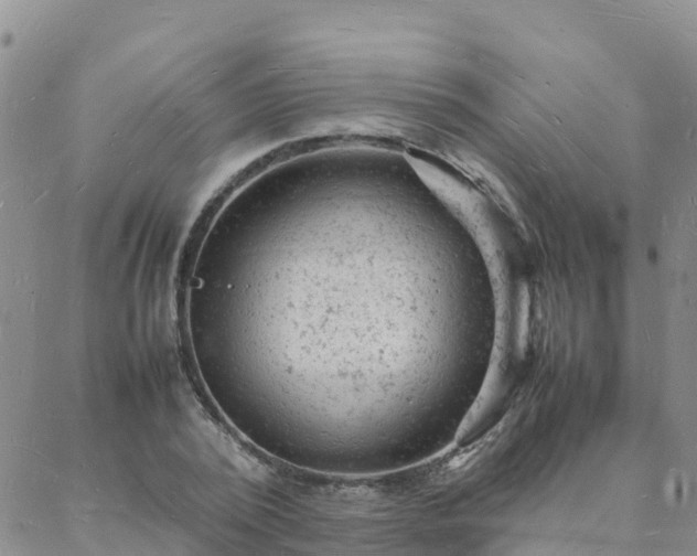 X0000088030784200705182024