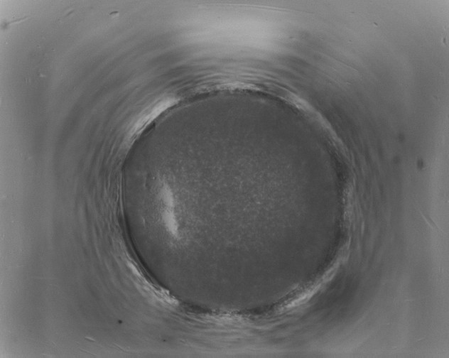 X0000088030785200705182024