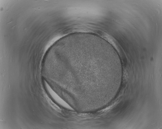 X0000088030787200705182024