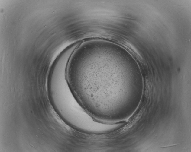 X0000088030788200705182024