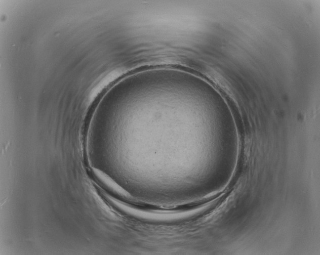 X0000088030789200705182024