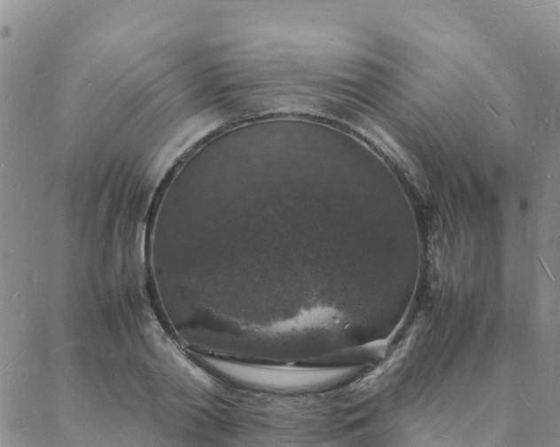 X0000088030790200705182024