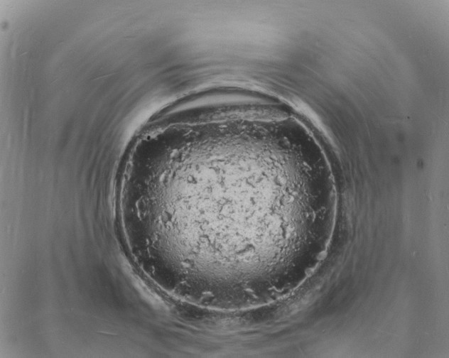 X0000088030791200705182024