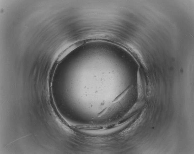 X0000088030792200705182024