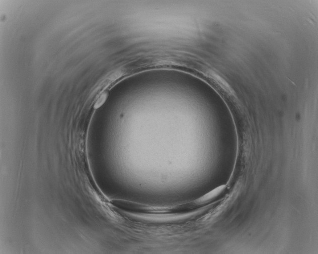 X0000088030793200705182024