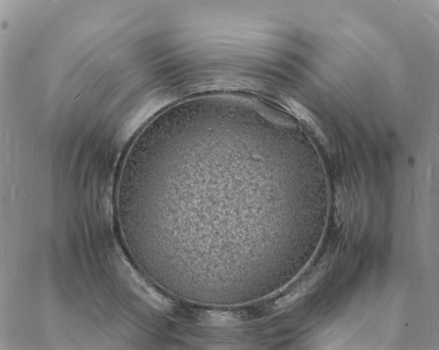 X0000088030794200705182024