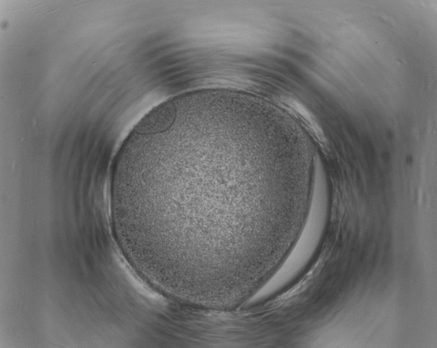 X0000088030796200705182024