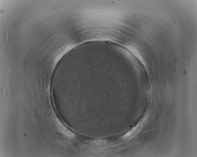 X0000088030797200705182024